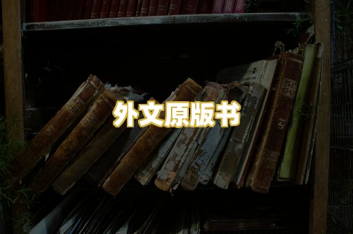 外文原版书